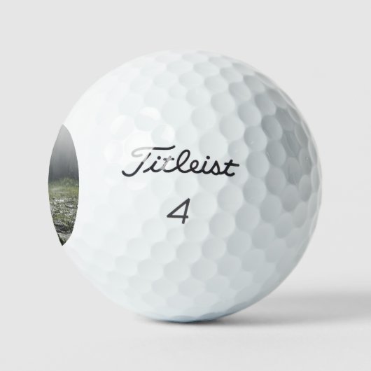 White Siberian Husky Golfball (Logo)