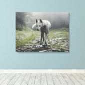 White Siberian Husky Leinwanddruck (Insitu (Holzboden))