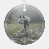White Siberian Husky Ornament Aus Glas (Vorderseite)
