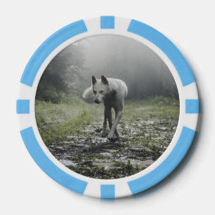 White Siberian Husky Pokerchips