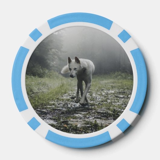 White Siberian Husky Pokerchips (Rückseite)