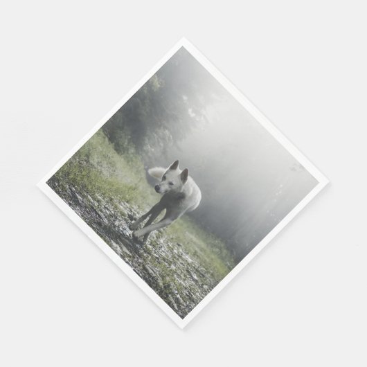 White Siberian Husky Serviette (Ecke)