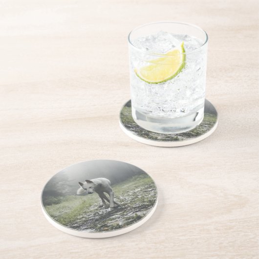 White Siberian Husky Untersetzer (Seite)