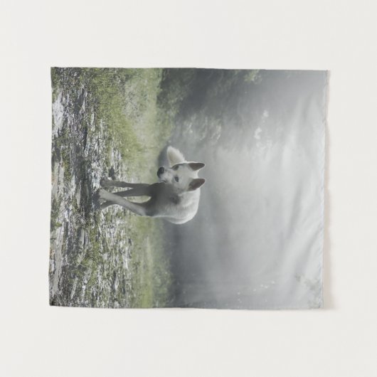 White Siberian Husky Wandteppich (Vorderseite (Horizontal))