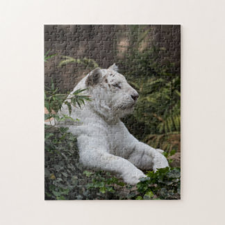 White Siberian Tiger Puzzle