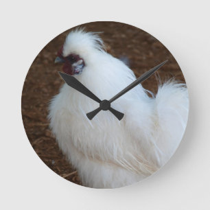 White Silkie Chicken Runde Wanduhr