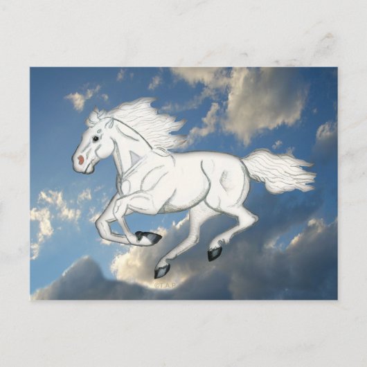 White Sky Horse Postcard Postkarte (Vorderseite)