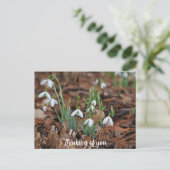 White Snow Drop Celebration Denken Sie an Sie Postkarte (Stehend Vorderseite)