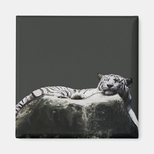 White Snow Tiger - Big Cat schlafen Magnet (Vorne)