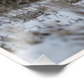 White Snow Tiger Fotodruck (Ecke)