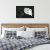 White Snowball Hydrangea - Annabelle Leinwanddruck (Insitu (Schlafzimmer))