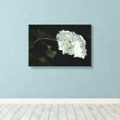 White Snowball Hydrangea - Annabelle Leinwanddruck (Insitu (Holzboden))