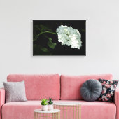 White Snowball Hydrangea - Annabelle Leinwanddruck (Insitu (Wohnzimmer))
