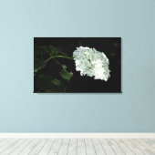 White Snowball Hydrangea - Annabelle Leinwanddruck (Insitu (Holzboden))