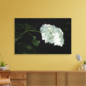 White Snowball Hydrangea - Annabelle Leinwanddruck (Insitu (Wohnzimmer))