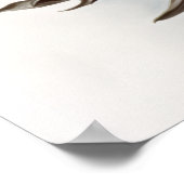 White Snowdrop Blume Art Print Poster (Ecke)