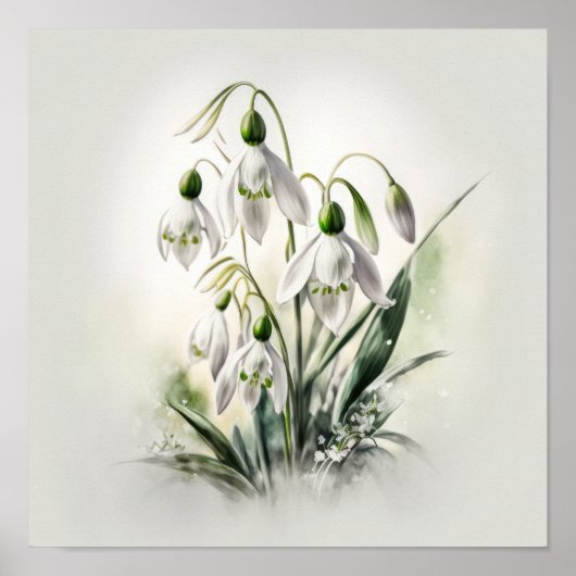 White Snowdrop Blume Art Print Poster (Vorne)