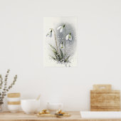 White Snowdrop Blume Art Print Poster (Küche)