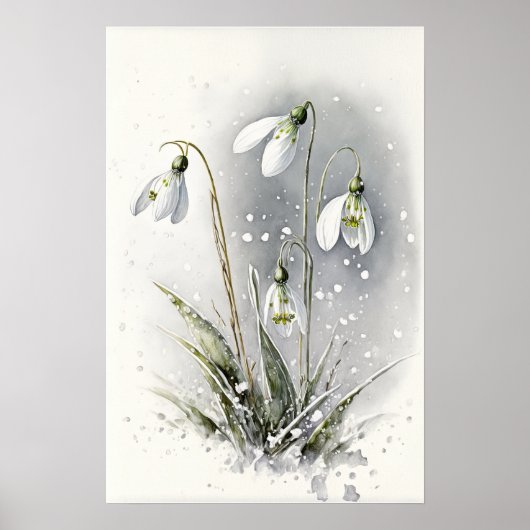White Snowdrop Blume Art Print Poster (Vorne)