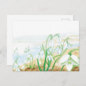 White Snowdrops Illustration Postkarte (Vorne/Hinten)