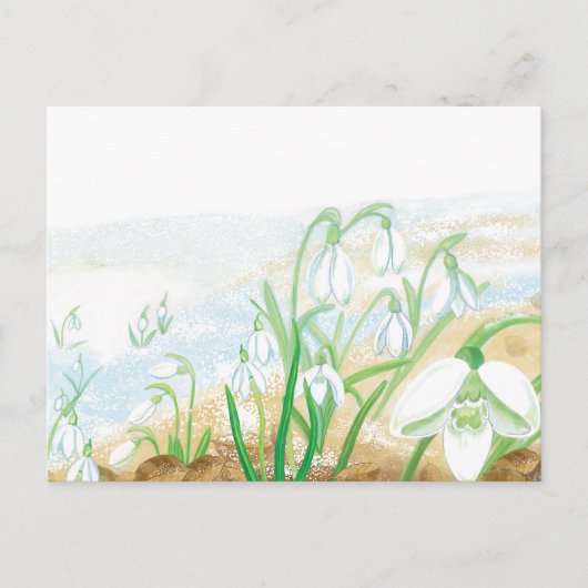 White Snowdrops Illustration Postkarte (Vorderseite)