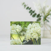 White Spily Lilie ポ ト ド Postkarte (Stehend Vorderseite)