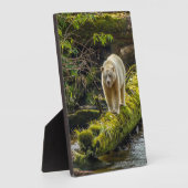 White Spirit Bear | British Columbia, Kanada Fotoplatte (Seite)