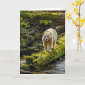 White Spirit Bear | British Columbia, Kanada Karte (Gelbe Blume)