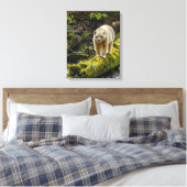 White Spirit Bear | British Columbia, Kanada Leinwanddruck (Insitu (Schlafzimmer))