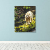 White Spirit Bear | British Columbia, Kanada Leinwanddruck (Insitu (Holzboden))