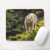 White Spirit Bear | British Columbia, Kanada Mousepad (Mit Mouse)