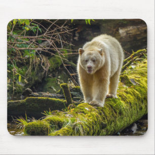 White Spirit Bear   British Columbia, Kanada Mousepad