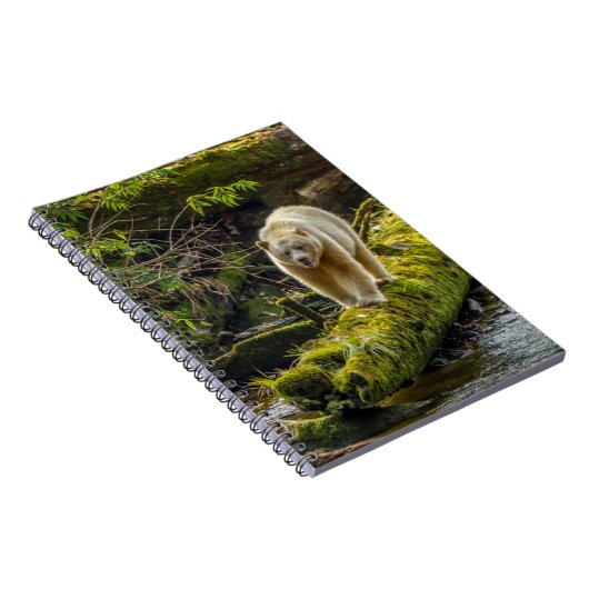 White Spirit Bear | British Columbia, Kanada Notizblock (Rechte Seite)