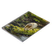 White Spirit Bear | British Columbia, Kanada Notizblock (Linke Seite)