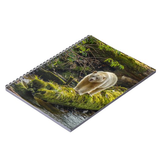 White Spirit Bear | British Columbia, Kanada Notizblock (Linke Seite)