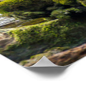 White Spirit Bear | British Columbia, Kanada Poster (Ecke)