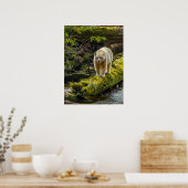White Spirit Bear | British Columbia, Kanada Poster (Küche)