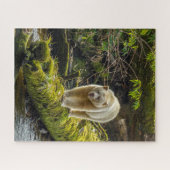 White Spirit Bear | British Columbia, Kanada Puzzle (Horizontal)