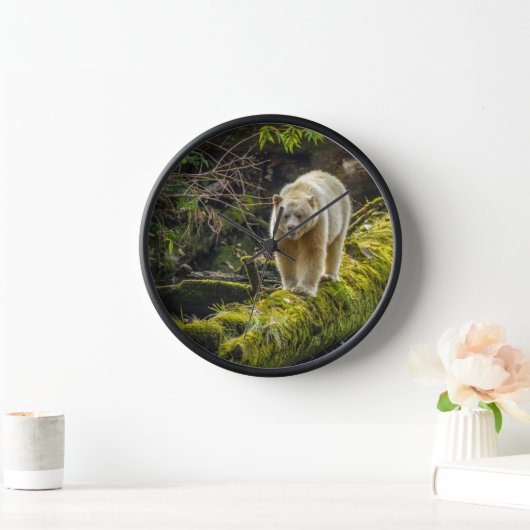 White Spirit Bear | British Columbia, Kanada Uhr (Zuhause)