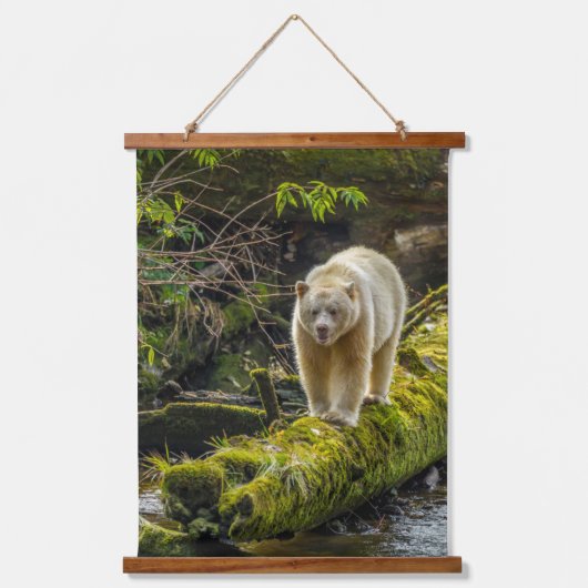 White Spirit Bear | British Columbia, Kanada Wandteppich Mit Holzrahmen (Vorderseite)