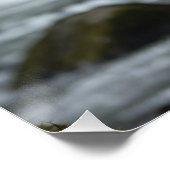 White Spirit Bear Cub Wildlife Poster (Ecke)