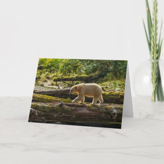 White Spirit Bear Hunts Karte (Vorderseite)