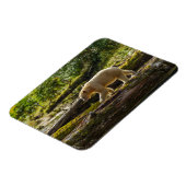 White Spirit Bear Hunts Magnet (Linke Seite)