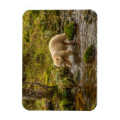 White Spirit Bear jagt Fische auf Riordan Creek Magnet (Vertikal)
