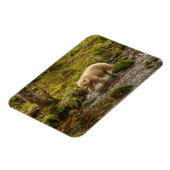 White Spirit Bear jagt Fische auf Riordan Creek Magnet (Linke Seite)