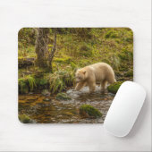 White Spirit Bear jagt Fische auf Riordan Creek Mousepad (Mit Mouse)