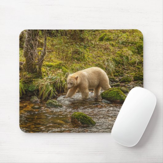 White Spirit Bear jagt Fische auf Riordan Creek Mousepad (Mit Mouse)