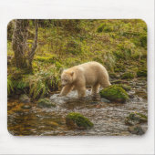 White Spirit Bear jagt Fische auf Riordan Creek Mousepad (Vorne)