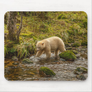 White Spirit Bear jagt Fische auf Riordan Creek Mousepad