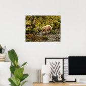 White Spirit Bear jagt Fische auf Riordan Creek Poster (Heimbüro)